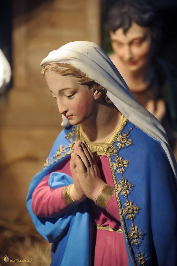 Nom de l'image : D30043117_1_(c)Norbert-JUNG — Description :